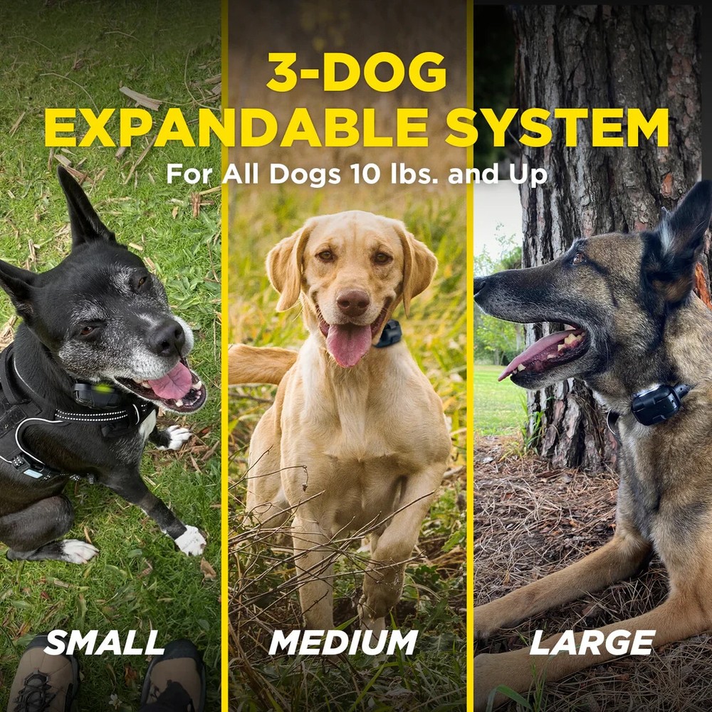 ​Dogtra 280X - 2 - Dog Remote Training Collar - 1/2 Mile Range E-Collar