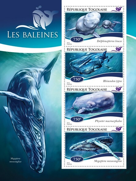 2014 TOGO MNH. WHALES   Y&T Code: 4334-4337  |  Michel Code: 6426-6429
