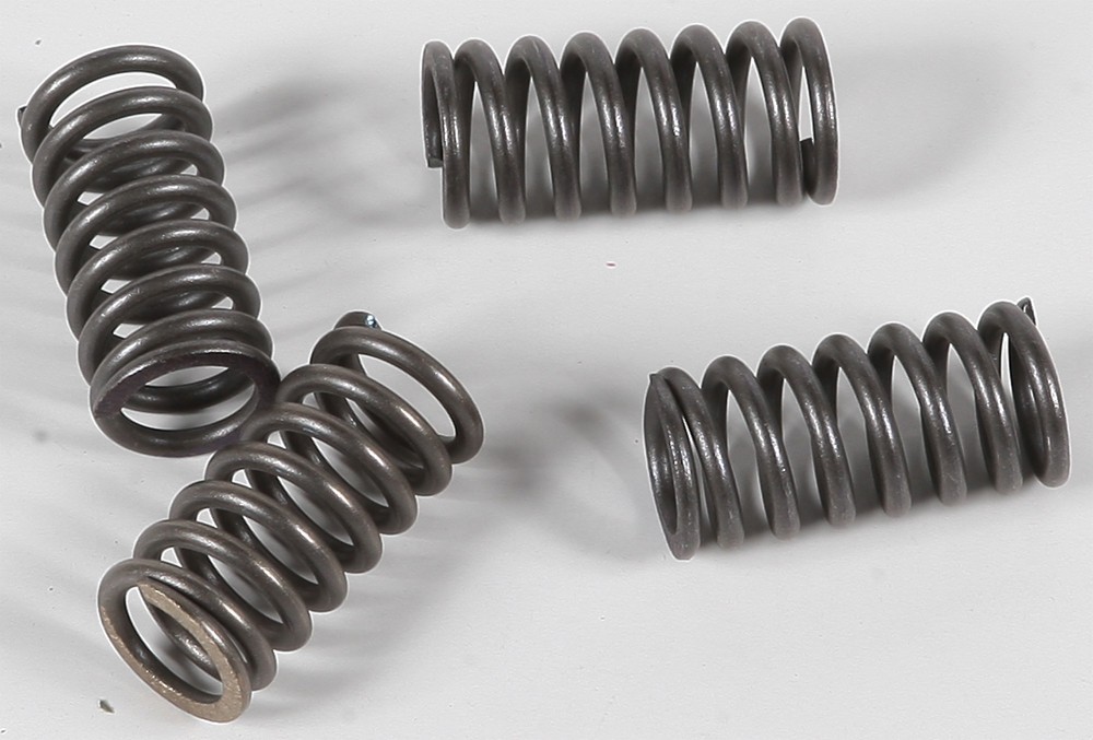 EBC Clutch Spring Set - Clutch Springs - CSK47