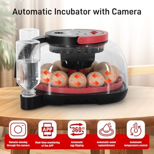 Automatic Egg Incubator for 12 Chicken Eggs with Camera APP Control