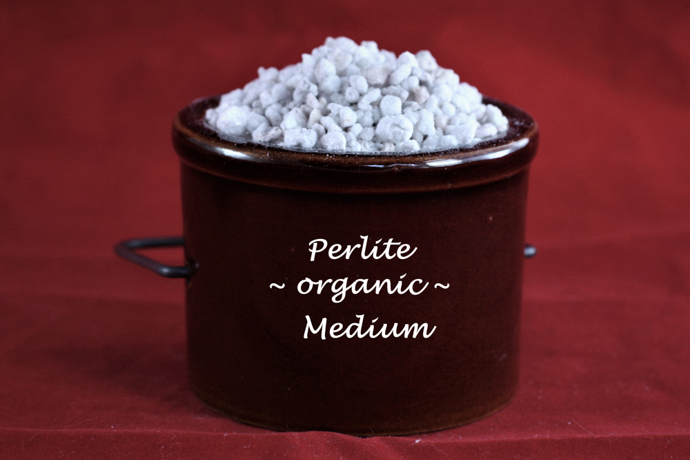 Perlite, Seed Starting, Hydroponics, Potting, Medium Size #2