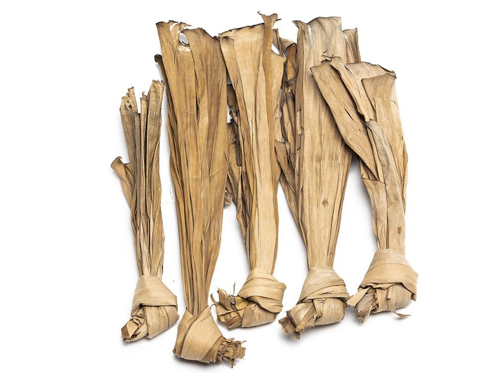 Botanical Breeder Combo Pack (Sulawesi Shrimp)