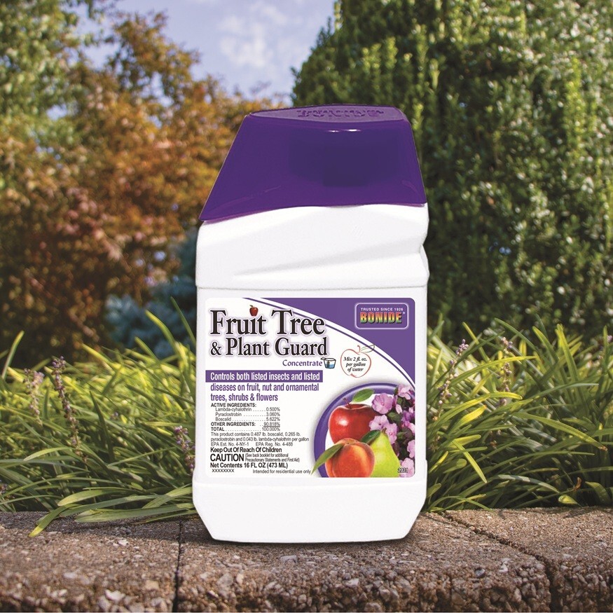 Bonide 2021 Fruit Tree & Plant Guard PT Conc Tree Shrub Insect Disease Control