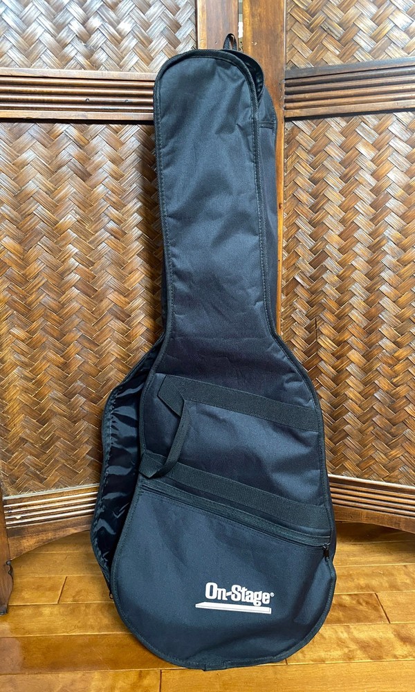 VINTAGE PALMER Acoustic