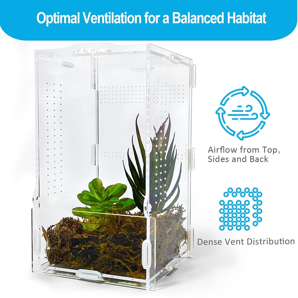 Arboreal Tarantula Jumping Spider Enclosure Praying Mantis Terrarium Cage