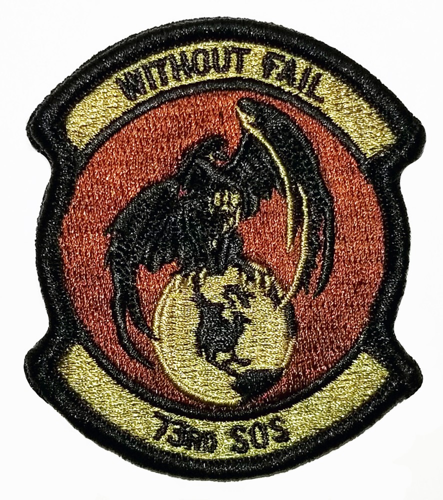 US Air Force 73rd Special Operations Support Squadron Subdued Hook Back Patch