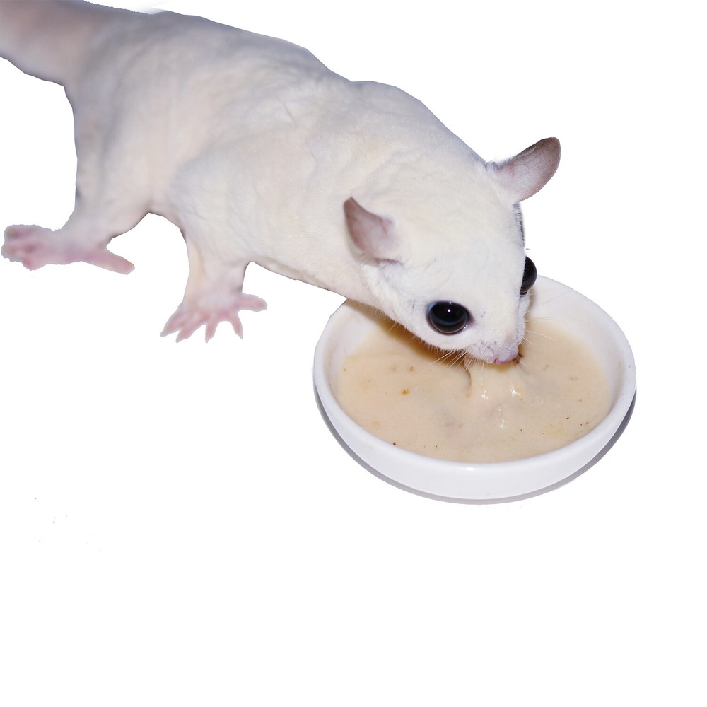 Gliderade Nectar (4 oz.) - Vitamin-Enriched Supplement - For Sugar Gliders