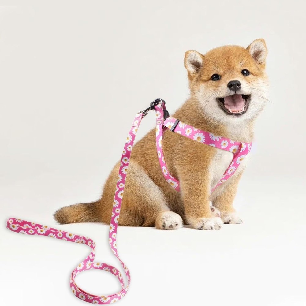 Dog Harness Leash Set Adjustable Heavy Duty No Pull Halter Harnesses Small