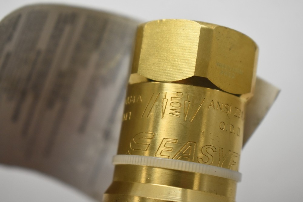 Regency FS-QD-034 2412: Brass Quick Disconnect 3/4" Assembly Easyflex