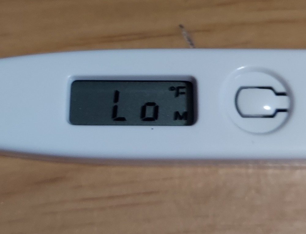 GIINII Digital Stick Thermometer