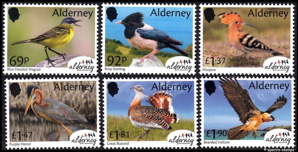 ALDERNEY 2026 BIRDS