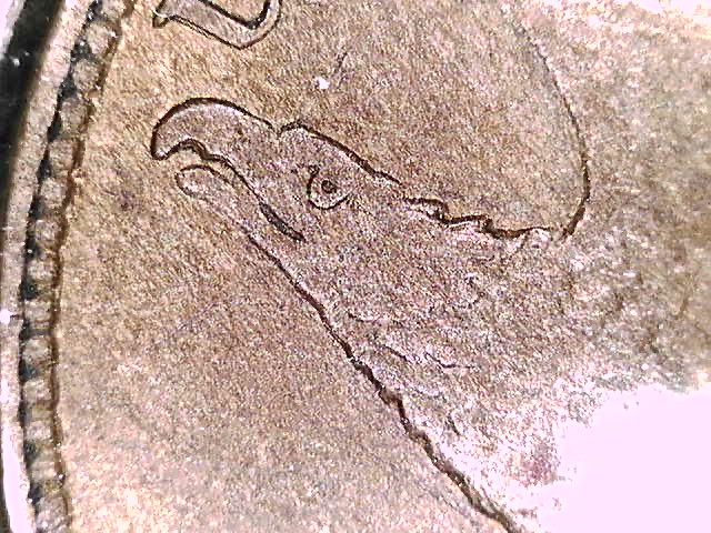 1857 Repunched Date Snow 10 Flying Eagle Cent