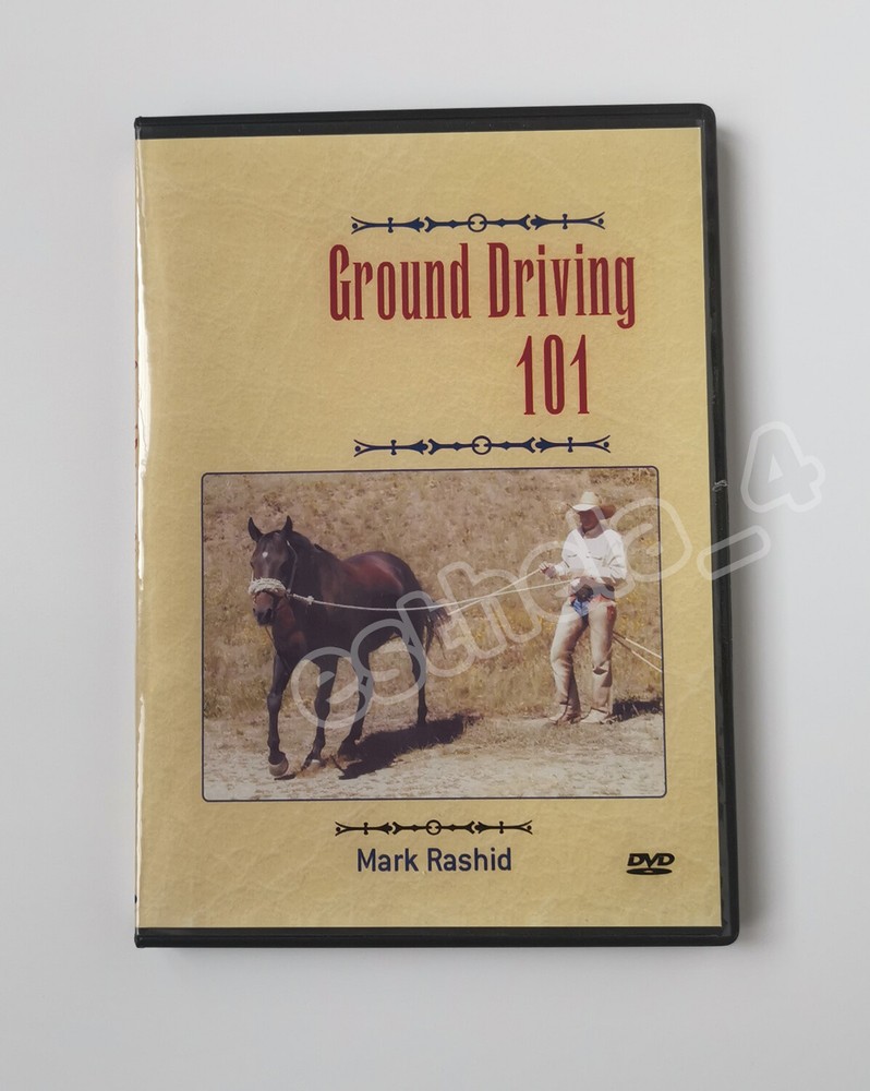 Ground Driving 101 with Mark Rashid