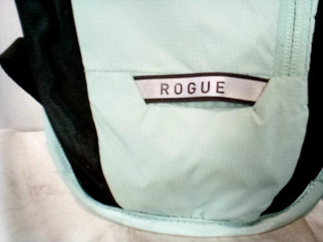 Camelback Rogue Teal Hydration pack - Used