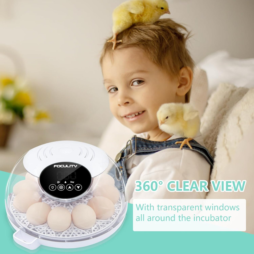 Egg Incubator for Hatching Chicks, Holds 12 Eggs, Automatic Egg Turner with Temp