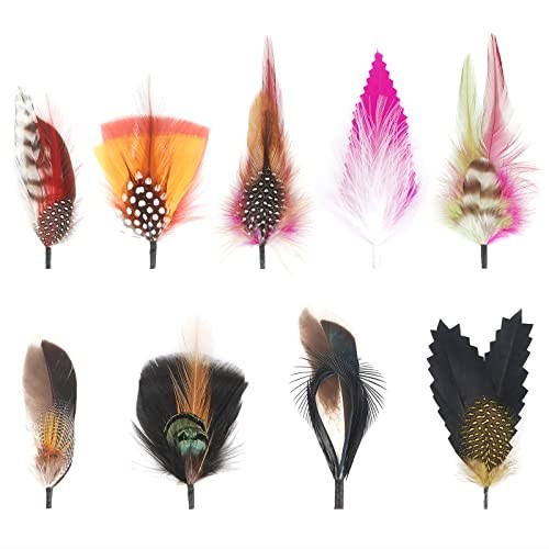 Hat Feathers, 10 Pcs Assorted Natural Feather Packs One Size 9 Pcs-3