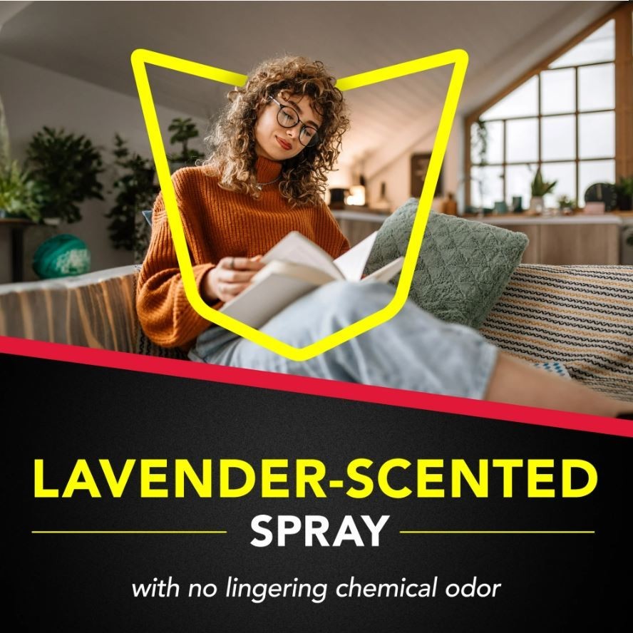 Raid Ant & Roach Killer Spray Lavender Scent for Listed Bugs 17.5 oz