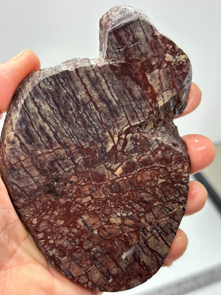 Unique Washington State Jasper Slab Cabbing Lapidary Combo Ship Avail