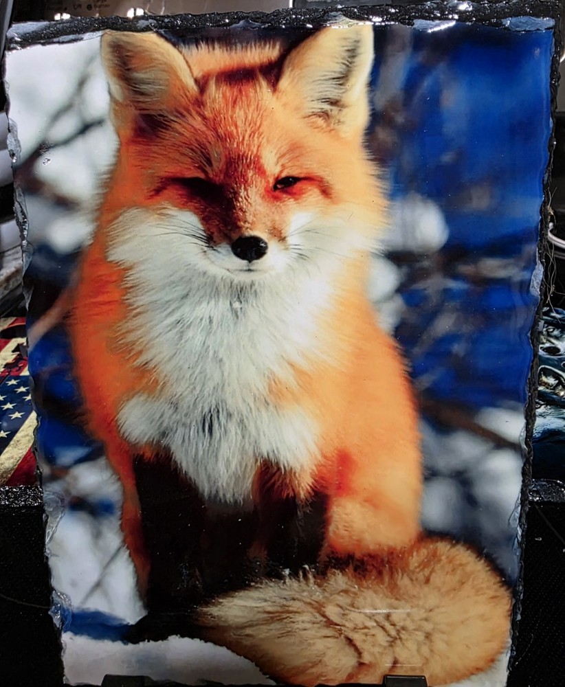 Fox Photo Slate
