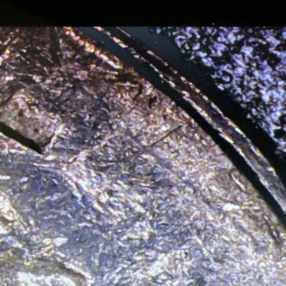 1974 WASHINGTON QUARTER- STRUCK THROUGH GREASE ERROR REVERSE