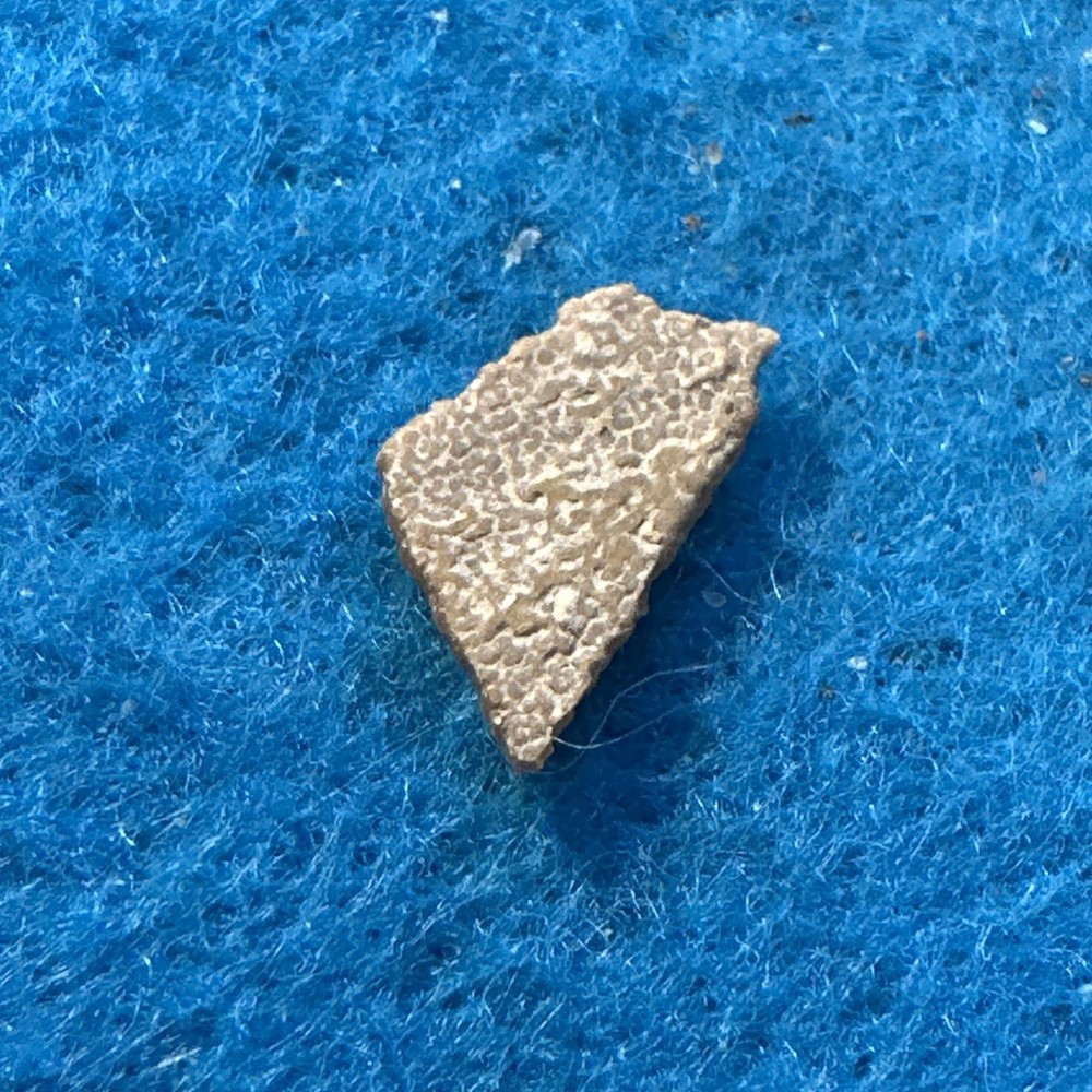 Saltasaurus Extinct Dinosaur Eggshell Fossil Piece in Display Case