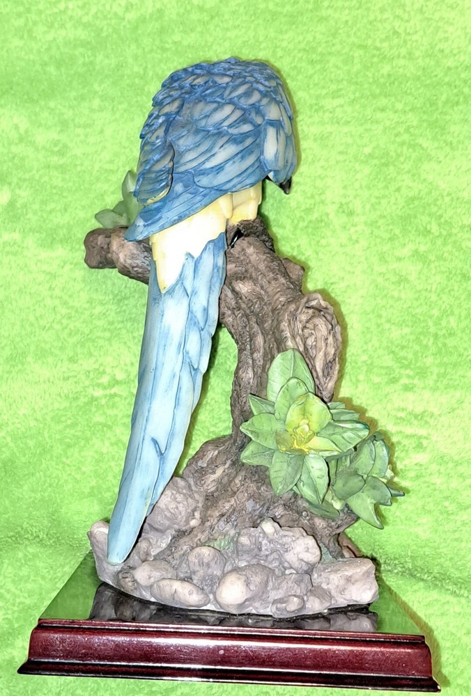 LEONARDO " THE MACAW PARROT " w/ Lizard BLACK/BLUE/ WHITE/YELLOW