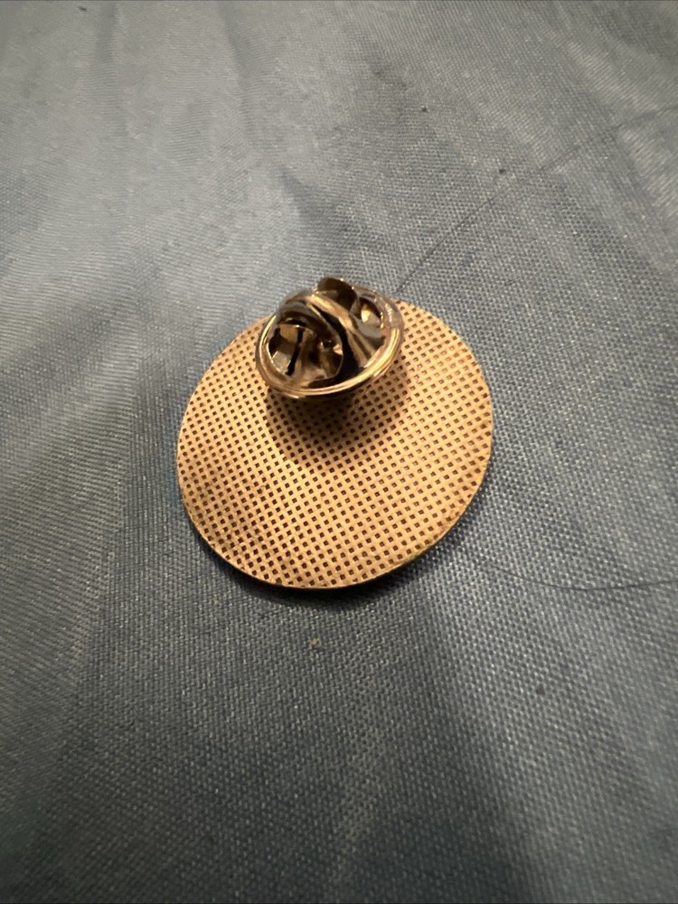 Secound Year Georgia Perimeter College Nursing Student Pin