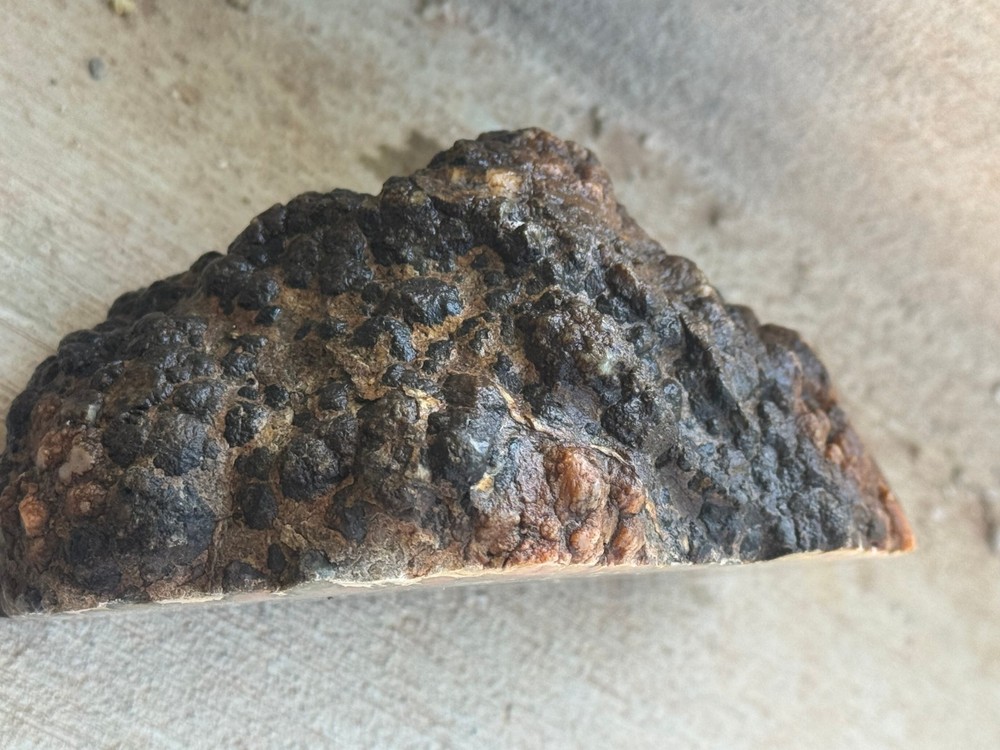 DINOSAUR CORPROLITE (FOSSILIZED DINOSAUR DUNG)