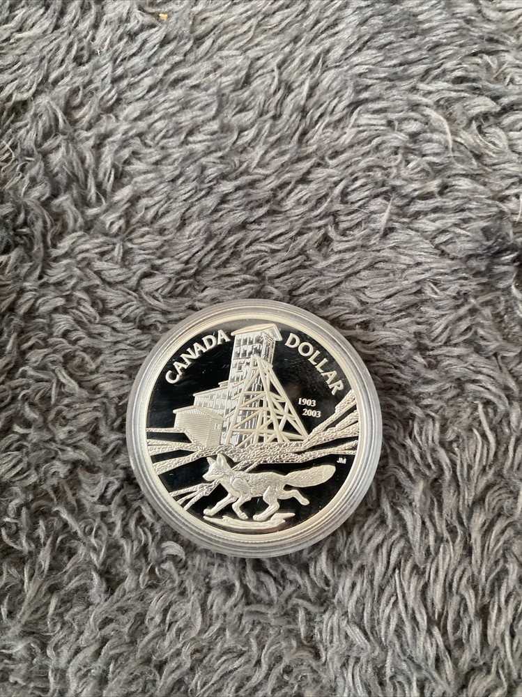 proof dollar 2003 canadian mint coin