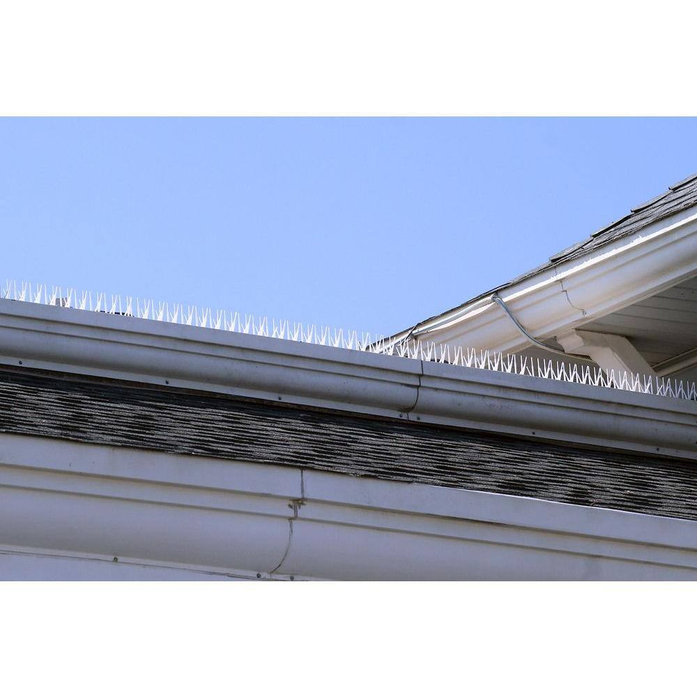 Clear Plastic Bird Spike - 50 Ft. X 7 In.