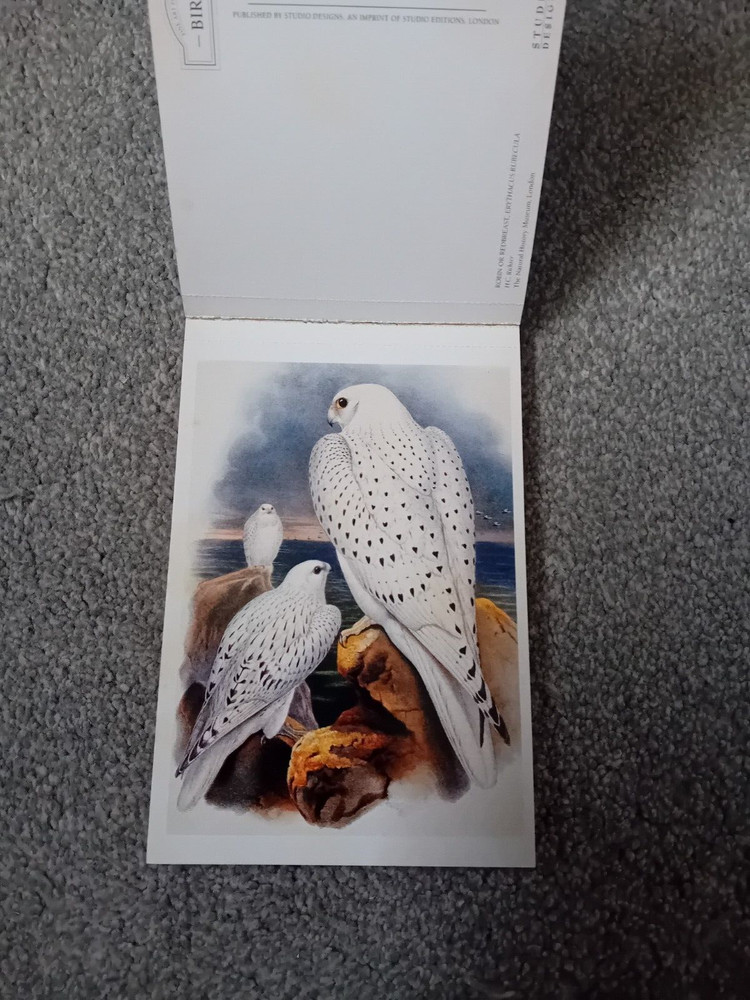 20 Fine Art Postcards - Birds