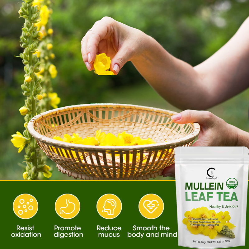 Mullein Leaf Tea for Lungs Cleanse & Immune Support, 100% Natural, Caffeine Free