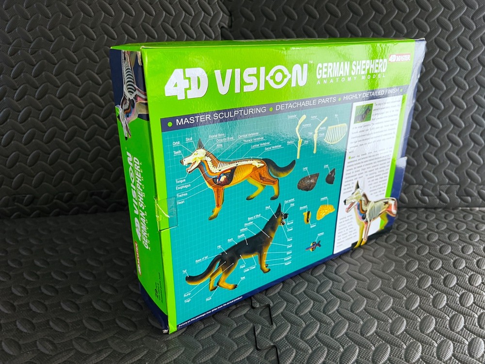 4D Master 4D Vision German Shepherd Anatomical Model Educational Toy