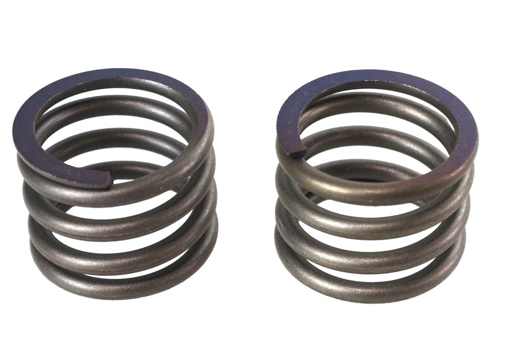 41mm Fork Lower Damper Tube Spring Set fits Harley Davidson