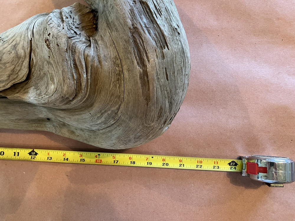 Beautiful Driftwood