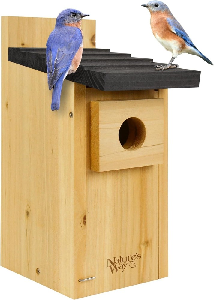 Compact Cedar Bluebird Box with Fledgling Skerfs - Safe & Stylish Nesting