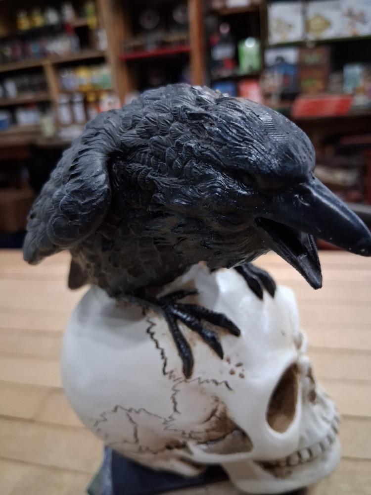 Raven Perched on Skull Gothic Book Stack Figurine