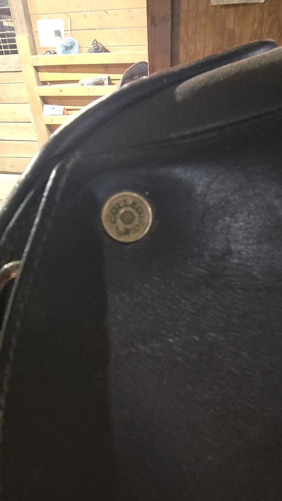 Collegiate Saddle 17 Inch