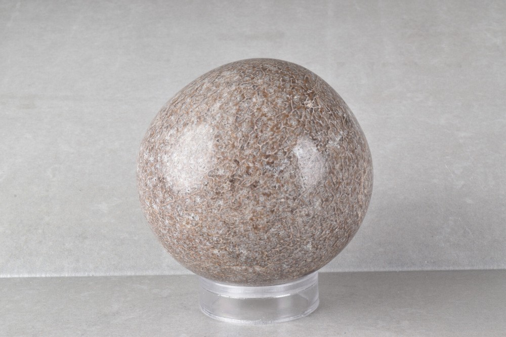 Large Dinosaur Bone Sphere from Morocco 7.7 cm # 21479