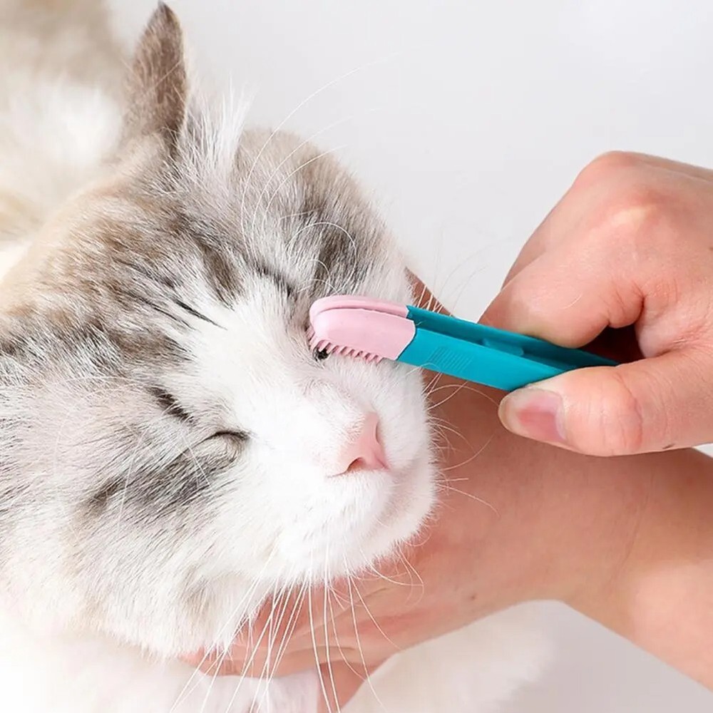Eco-Friendly Kitten Eye Rub