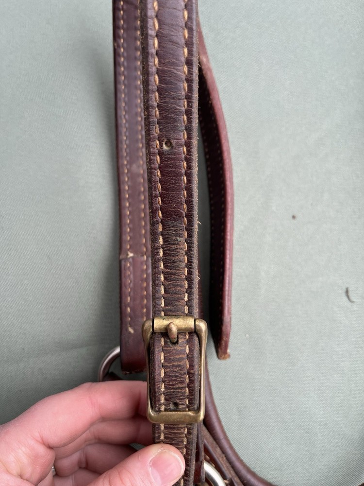 Supple Leather Halter With Chain Lead