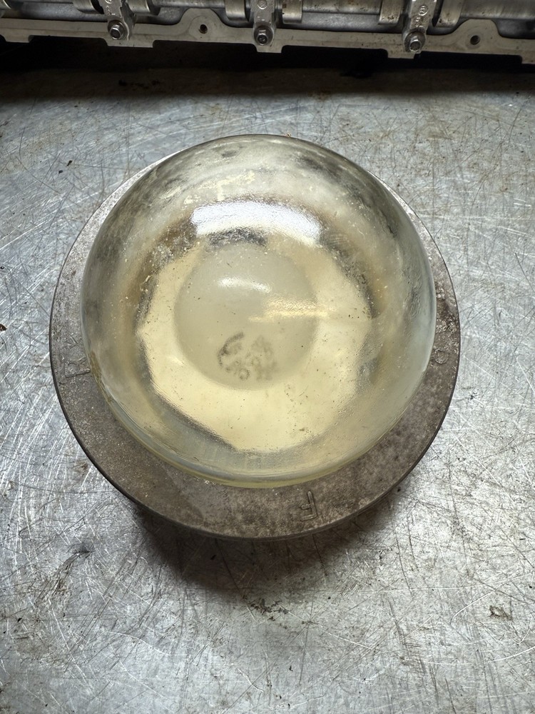 Victor Blast Proof Light. Approx 8 Inches Diameter.