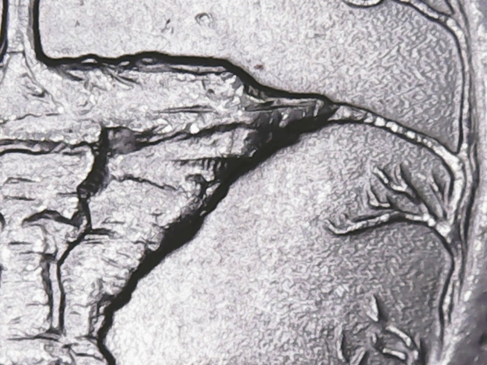 2018 p Pictured Rock ATB Quarter with Die Chips.