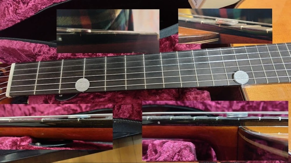 Cordoba Luthier C10 CD Classical Guitar with Case