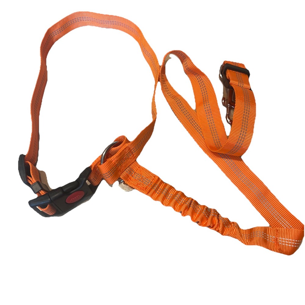 Dog Seat Belt Leash , ELASTIC Safety Adjustable Harness