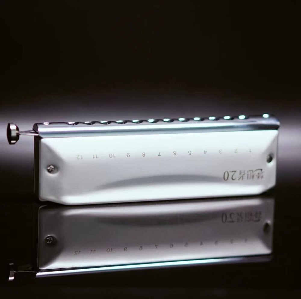 EASTTOP 12Hole Updated Version Chromatic Harmonica Key C Mouth Organ Harmonica