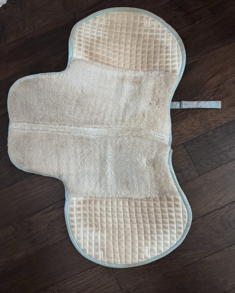 PRI Hunter/Jumper Saddle Pad, with Padding, Light Blue, Great Condition