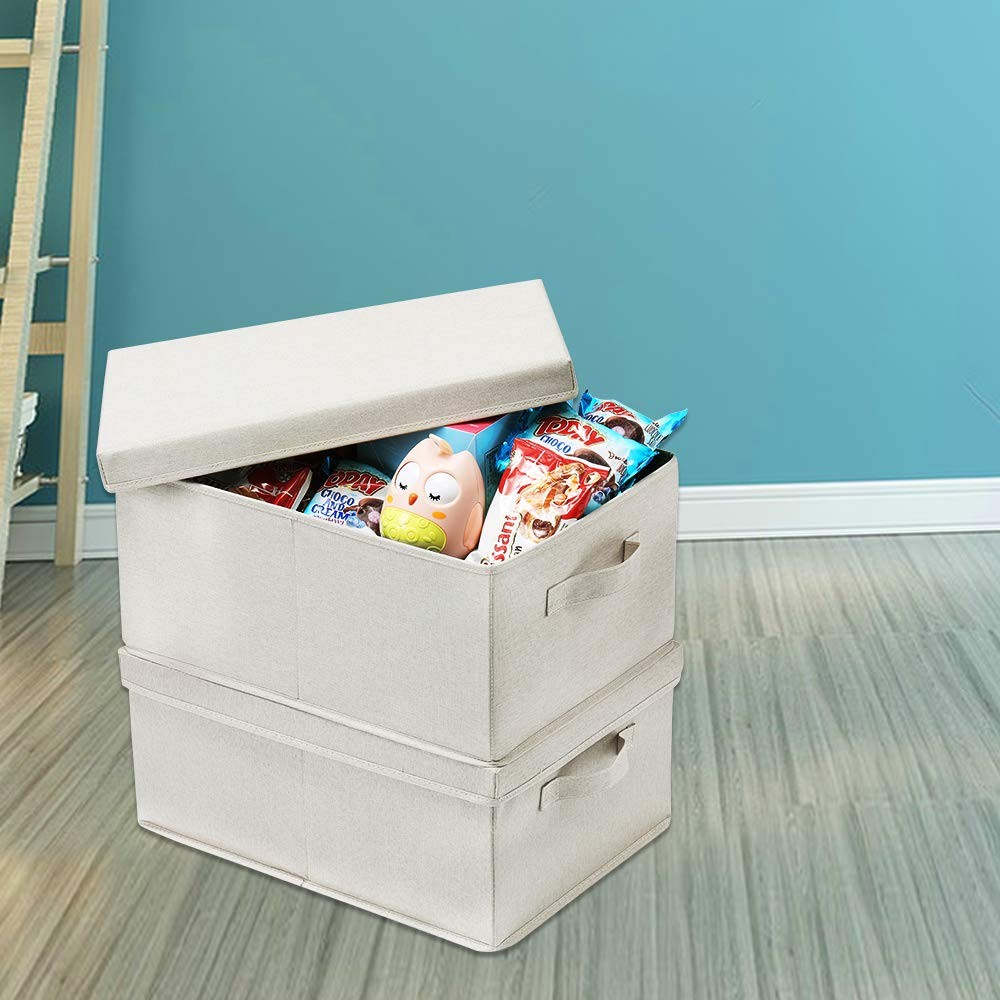 Foldable Storage Bins with Lids, 2 Pack, Storage Boxes with Carrying Handles ...