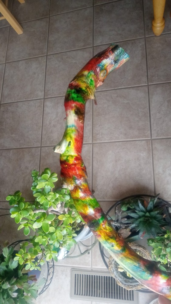 Rainbow Driftwood