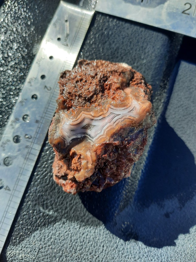 Purple Passion Agate!